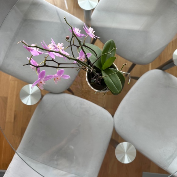 Dining table - Picture 2 of 3